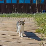 A 50 M De La Playa Lejlighed Fuengirola