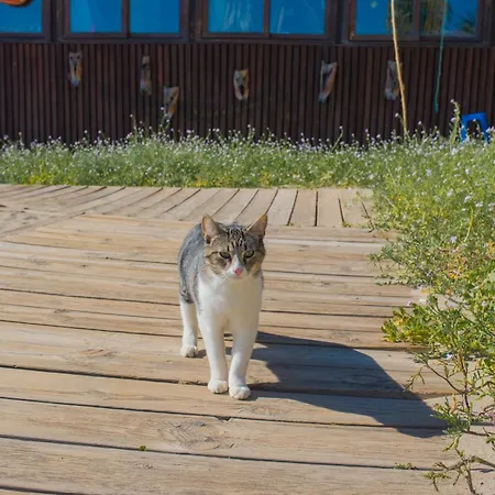 A 50 M De La Playa Apartamento Fuengirola